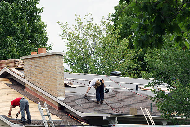 Best Roof Gutter Cleaning  in Highland, UT
